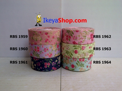 Pita RBS 1959 1964  large2